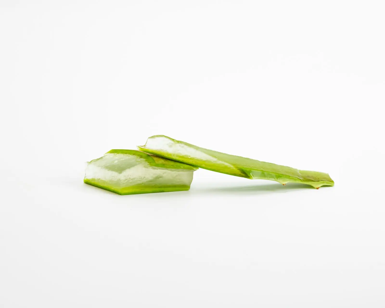 Freshly cut organic aloe vera leaves